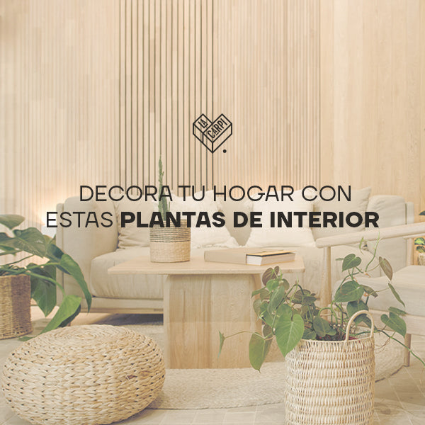 Piensa verde: decora tu hogar con estas plantas de interior