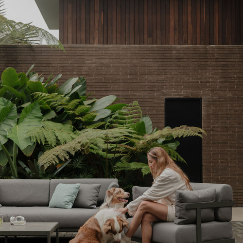 Sillón Legacy - Point